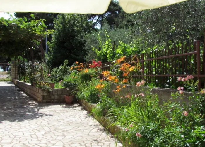 Vesna Rovinj
