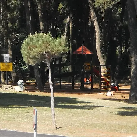 Vesna Apartamento Rovinj